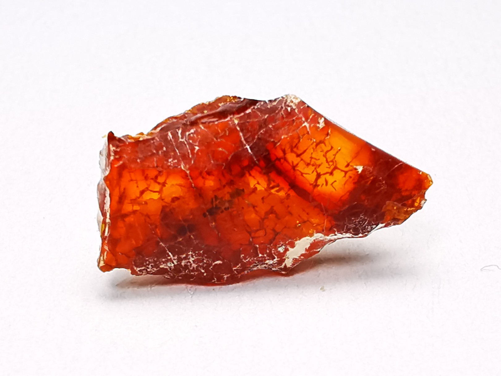 AMBER from Brazil