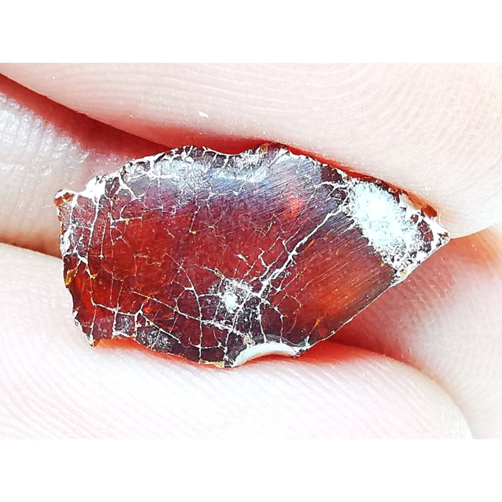 AMBER from Brazil