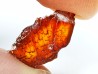 AMBER from Brazil