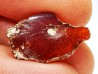 AMBER from Brazil