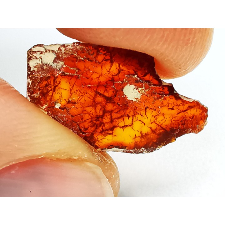 AMBER from Brazil