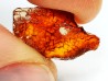 AMBER from Brazil