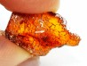 AMBER from Brazil