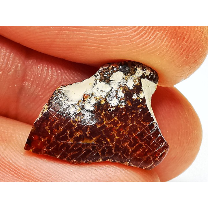 AMBER from Brazil