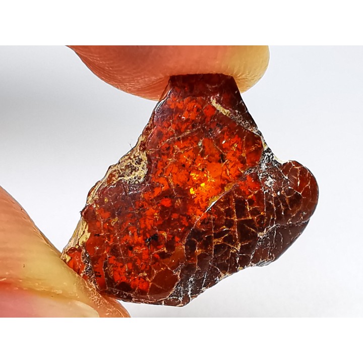 AMBER from Brazil