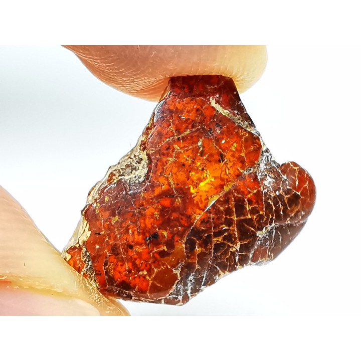 AMBER from Brazil
