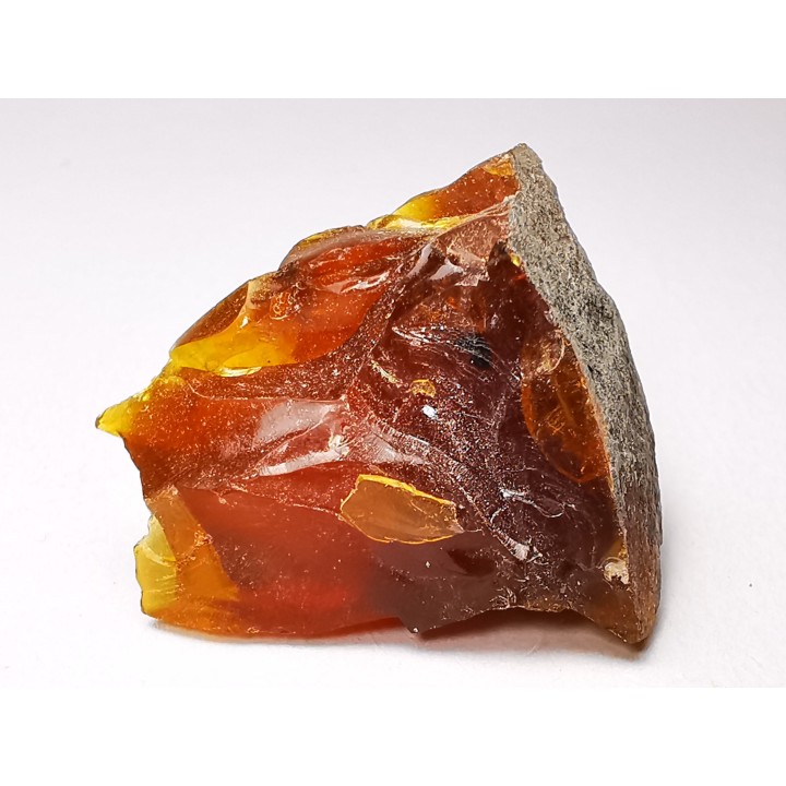 AMBER from Albian of Provence – FRANCE