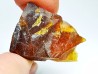 AMBER from Albian of Provence – FRANCE