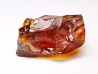 AMBER from Albian of Provence – FRANCE
