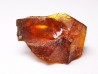 AMBER from Albian of Provence – FRANCE