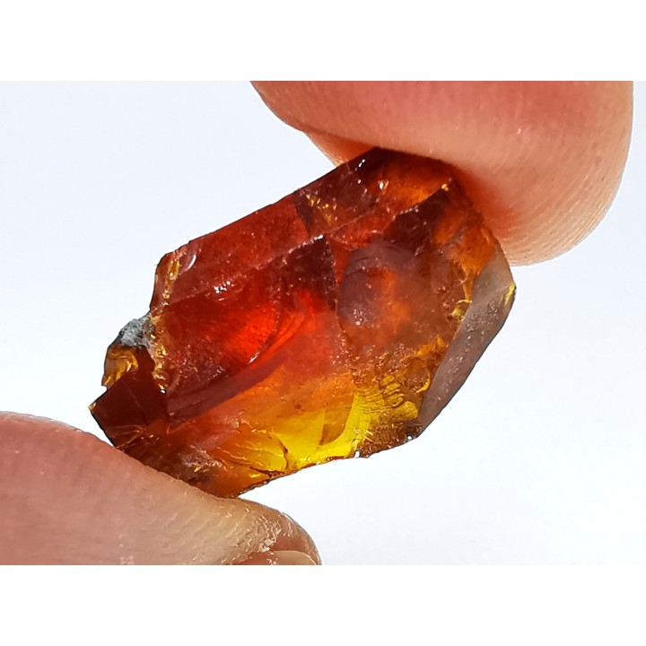 AMBER from Albian of Provence – FRANCE