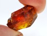 AMBER from Albian of Provence – FRANCE