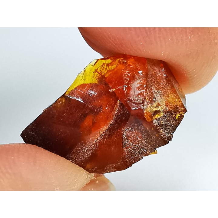 AMBER from Albian of Provence – FRANCE