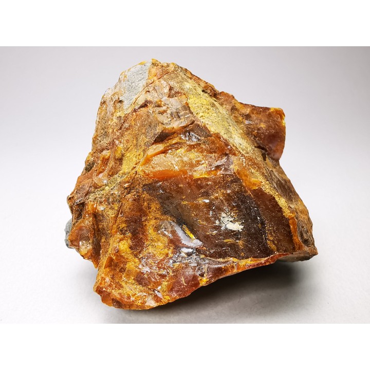 AMBER from Albian of Provence – FRANCE