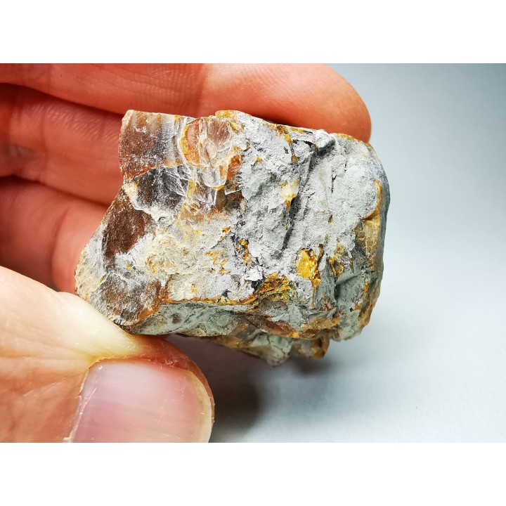AMBER from Albian of Provence – FRANCE