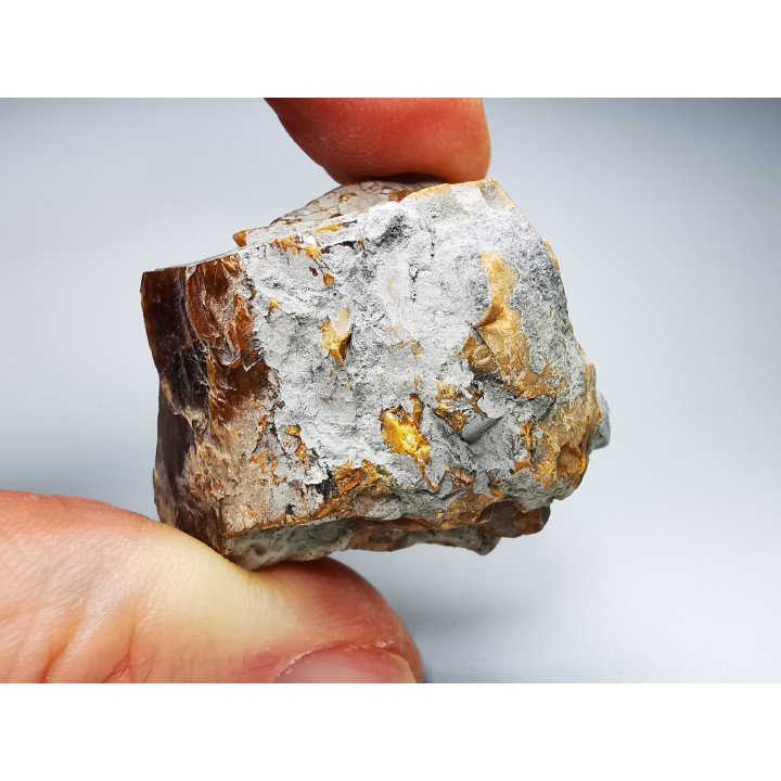 AMBER from Albian of Provence – FRANCE