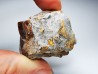 AMBER from Albian of Provence – FRANCE