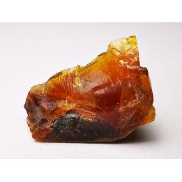 AMBER from Albian of Provence – FRANCE