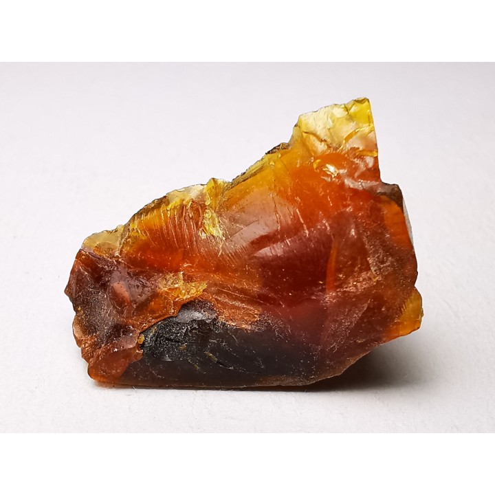 AMBER from Albian of Provence – FRANCE