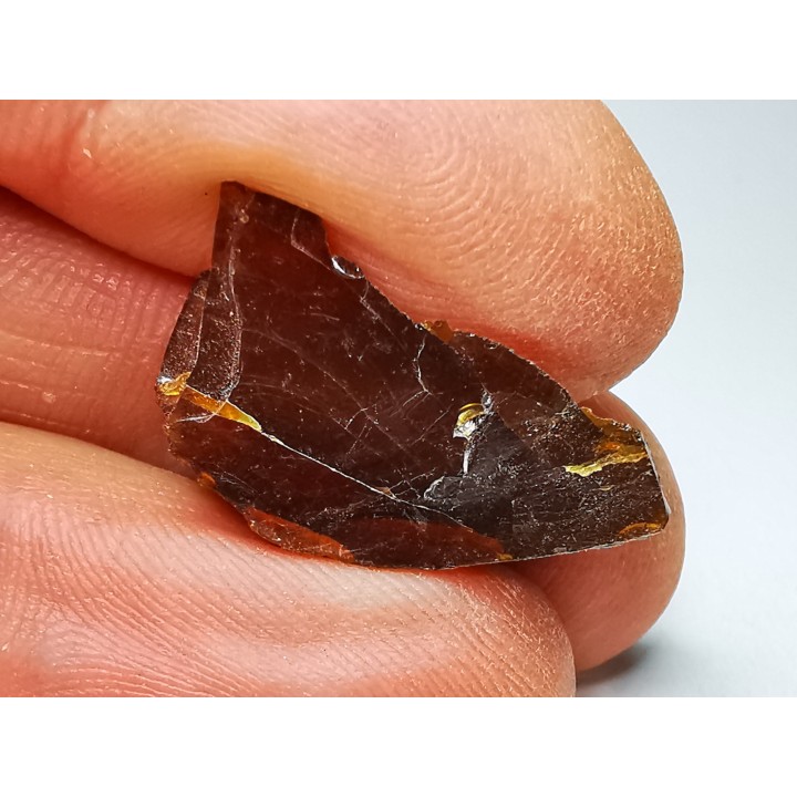 AMBER from Albian of Provence – FRANCE