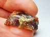 AMBER from Albian of Provence – FRANCE