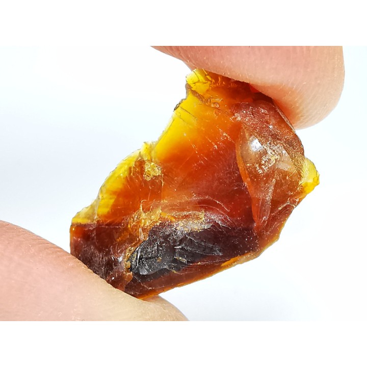 AMBER from Albian of Provence – FRANCE