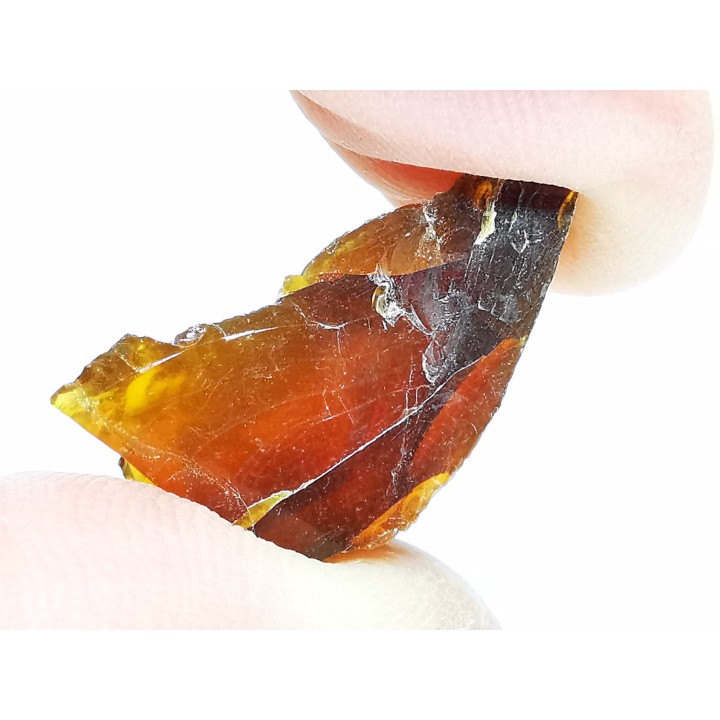 AMBER from Albian of Provence – FRANCE