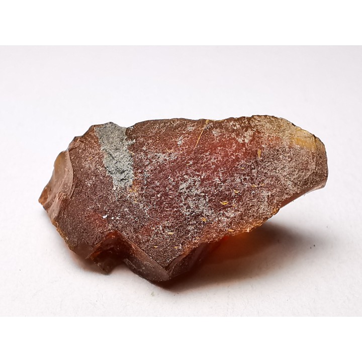 AMBER from Albian of Provence – FRANCE
