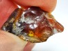 AMBER from Albian of Provence – FRANCE