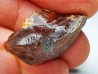 AMBER from Albian of Provence – FRANCE