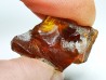 AMBER from Albian of Provence – FRANCE