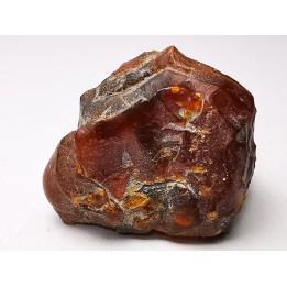 AMBER from Albian of Provence – FRANCE