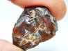 AMBER from Albian of Provence – FRANCE