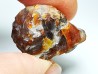 AMBER from Albian of Provence – FRANCE