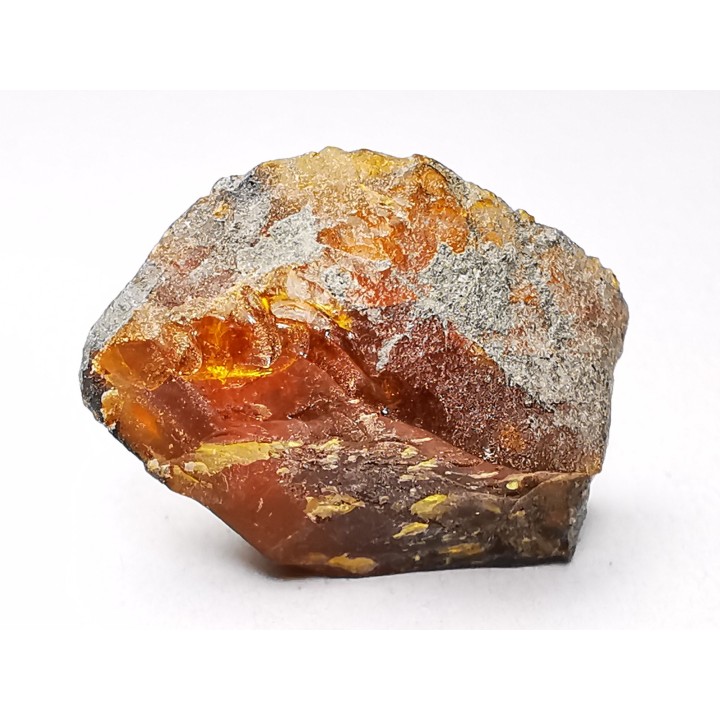 AMBER from Albian of Provence – FRANCE