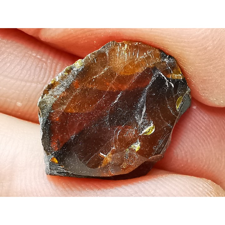 AMBRE de l'Albien de Provence - FRANCE