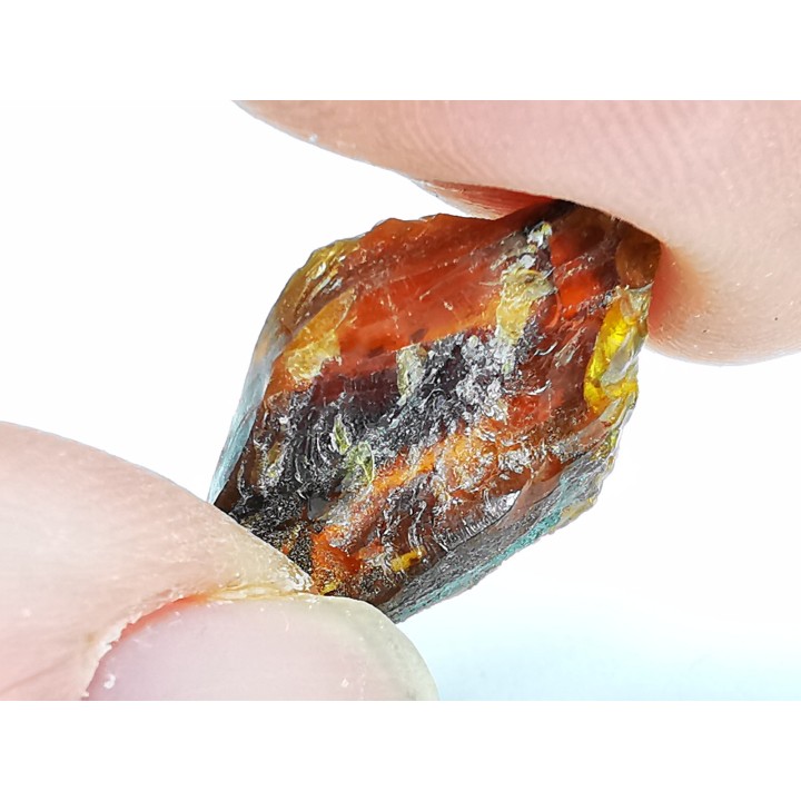 AMBER from Albian of Provence – FRANCE