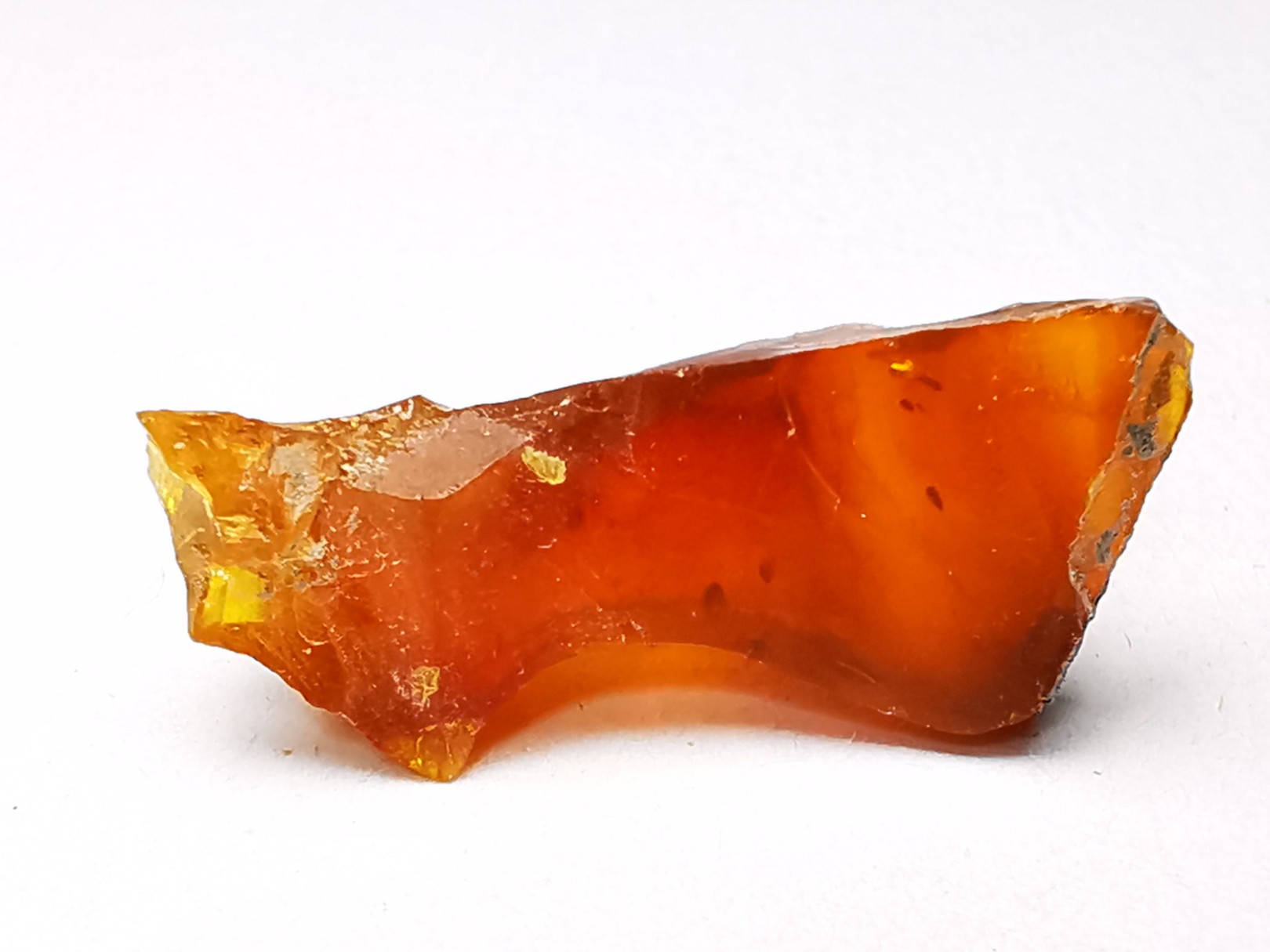 AMBER from Albian of Provence – FRANCE
