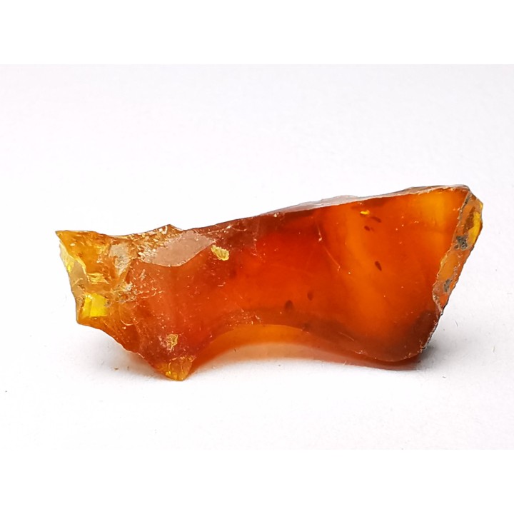 AMBER from Albian of Provence – FRANCE