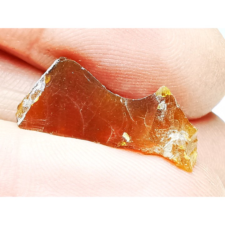 AMBER from Albian of Provence – FRANCE