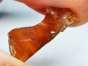 AMBER from Albian of Provence – FRANCE