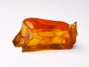 AMBER from Albian of Provence – FRANCE