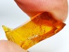 AMBER from Albian of Provence – FRANCE