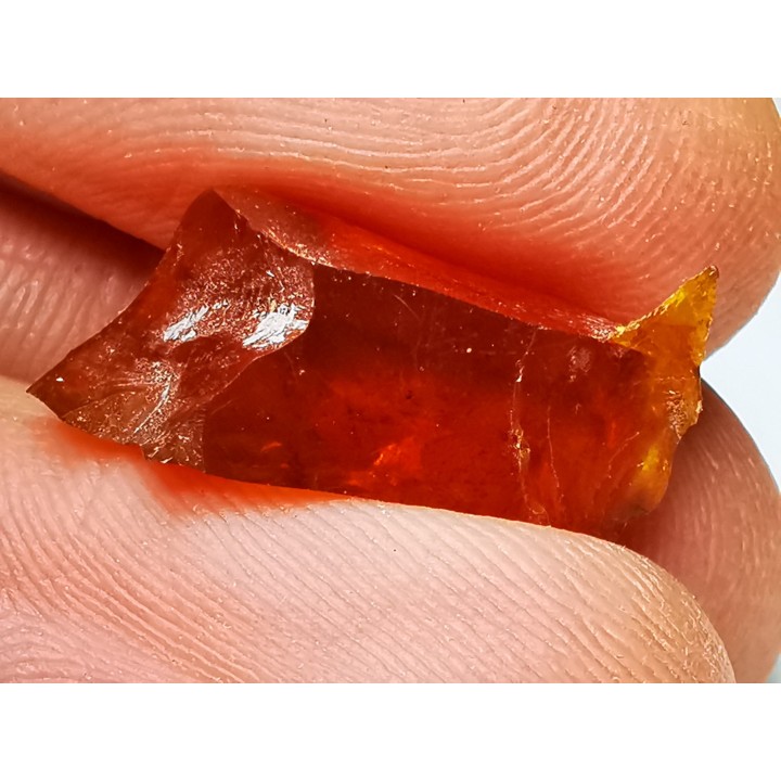 AMBER from Albian of Provence – FRANCE