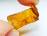 AMBER from Albian of Provence – FRANCE