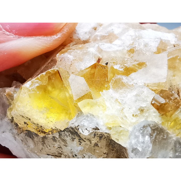 Fluorite, Eteize Mine, Ardeche, France