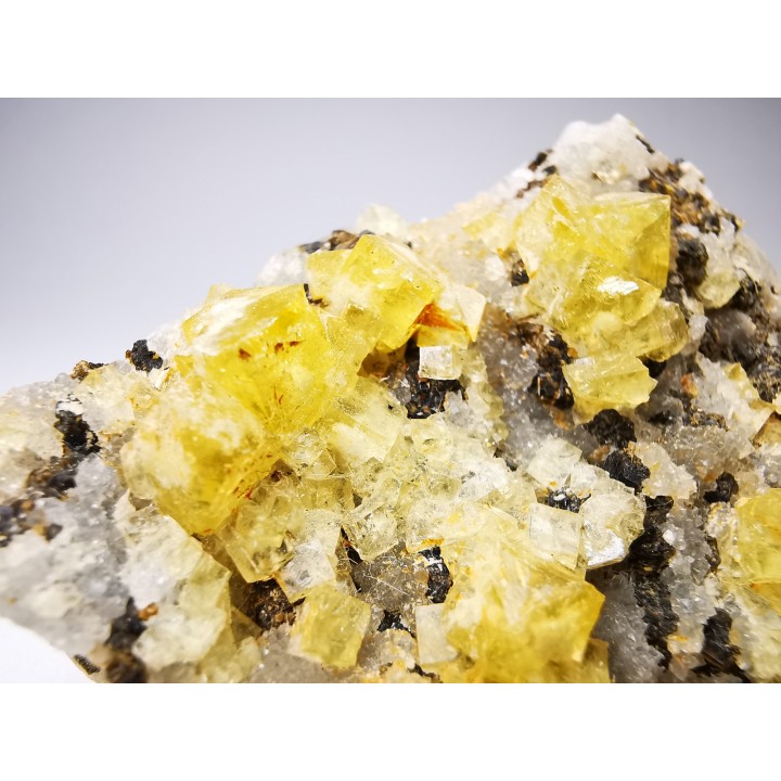 Fluorite de Marsange, Langeac, Haute-Loire, France