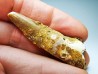 dinosaur TOOTH - SPINOSAURUS AEGYPTIACUS