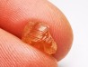 Grenat hessonite, mine Jeffrey, Québec, Canada