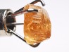 Hessonite Garnet, Jeffrey Mine, Quebec, Canada